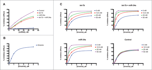 Figure 3. Dose-response analysis of let-7b and miR-34a in combination with erlotinib in H358 cells. (A) H358 cells were transfected with a control mimic, mimics of let-7b, miR-34a, or a half dose of each let-7b + miR-34a over a range of concentrations (12.5 nM to 50 nM). Five days after transfection, cell survival was determined using the sulforhodamine-B (SRB) assay. Curves representing % inhibition of cell proliferation relative to untransfected cells for each miRNA mimic were constructed using the Hill slope equation. Plotted data points represent the mean of 3 replicates. (B) H358 cells were treated with erlotinib over a range of concentrations (0.5 μM to 5 μM) 4 d after seeding. 72 hours after erlotinib treatment, cell survival was determined using the SRB assay. A curve representing % inhibition of cell proliferation relative to cells treated with DMSO as a vehicle control was plotted using the Hill slope equation. Plotted data points represent the mean of 3 replicates. (C) H358 cells were transfected with control mimic, mimics of let-7b, miR-34a, or a half dose of each let-7b + miR-34a at 3 concentrations (12.5 nM, 25 nM, 50 nM), or left untransfected. Two days after transfection, cells were treated with erlotinib in a serial dilution (0.5 μM to 5 μM). Cell survival was determined using the SRB assay 72 hours after erlotinib treatment. Curves representing % inhibition of cell proliferation relative to untransfected cells treated with DMSO as a vehicle control were constructed for each mimic treatment using the Hill slope equation. Plotted data points represent the mean of 3 replicates.