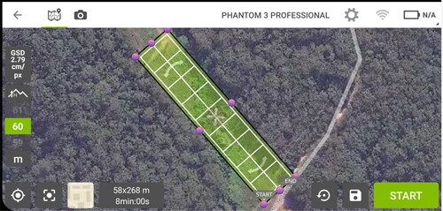 Figure 3. Screenshot image of the flight plan, from Pix4D, used to control the DJI drone for image capture. The image shows the flight plan for tower span 5195 to 5196.