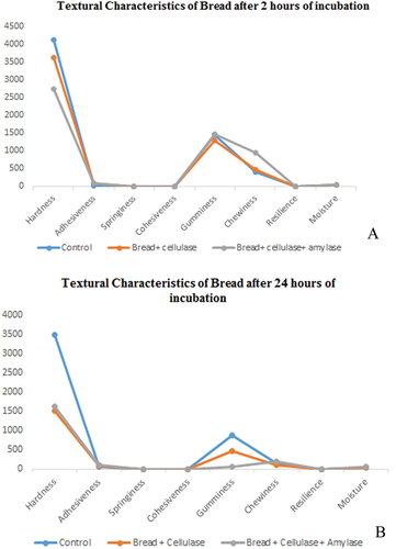 Figure 5. Textural characteristics of bread after 2 and 24 h.