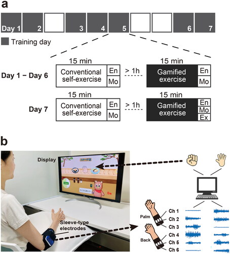 Figure 1. Experimental protocol and developed electromyography-controlled gamified system. (a) Example of protocol. A participant performed gamified exercise and conventional self-exercise for 15 min per day and repeated for non-consecutive seven days. Each day, both exercises were performed in a fixed order, separated by at least one hour between them. A participant was asked to rate the exercises regarding enjoyability (En), motivation to continue (Mo), and expectancy of effectiveness (Ex) based on numerical rating scales. Expectancy of effectiveness was evaluated only on the last day. (b) An overview of gamified exercise for training hand-finger movements. This is an example of the game contents at stage 3. Muscle activities were measured from the forearm using a custom-made elastic sleeve with 6 pairs of wireless surface electromyography electrodes. When muscle activity patterns matched the reference and the level of activity exceeded a certain level, characters’ movements were generated.