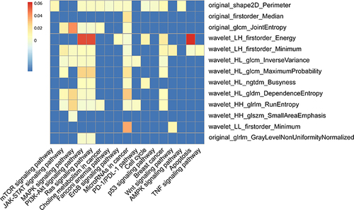 Figure 5 The association between key signaling pathways of breast cancer and radiomic features in TNBC and non-TNBC.