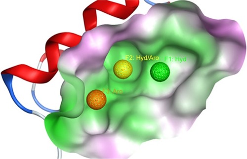 Figure 2 The Mdm2 inhibitor 3D pharmacophore, used to filter out the initial drug-like library, is shown inside the pocket of Mdm2 protein (shown as surface).