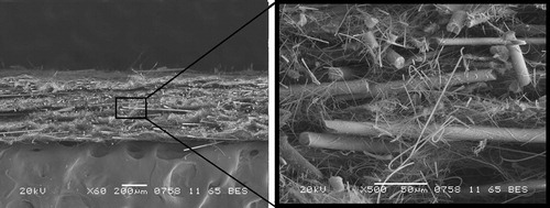 Figure 2. SEM micrograph of NF-a (30%)/MF composite filter.