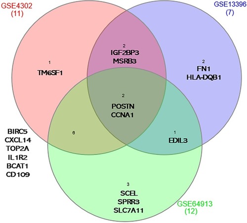 Figure 1 Genes that are differentially expressed in asthma compared to healthy controls in the three datasets GSE64913 (12 genes), GSE4302 (11 genes) and GSE13396 (7 genes). POSTN and IGF2BP3 were consistently differentially expressed among the three transcriptomic datasets.