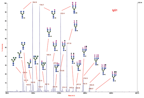 Figure 3 Negative-ion MALDI spectrum of 2-AA N-linked glycans released from IgG1 product RS by PNGase F. Sugar residues are GlcNAc (blue square), Fuc (yellow triangle), Man (green circle), Gal (pink circle) and NGNA (black diamond).