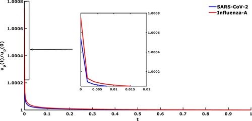 Figure 7. The normalized axial velocity with time for Influenza-A and SARS-CoV-2 with the combined effect of all forces.