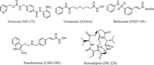 Figure 1 Examples of some approved HDACi.