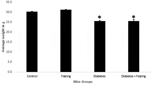 Figure 2. The average body weight of mice. Values are represented the mean ± SD.