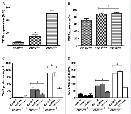 Figure 3. Expression of CD39 and CD73 on the surface of CD39neg, CD39inter and CD39high B cells and 5′AMP or adenosine production. Activated B cells were sorted relative to CD39 expression and analyzed by flow cytometry for surface expression of CD39 (A) or CD73 (B). In (A), CD39high B cells had higher (p < 0.001) mean expression levels of CD 39 than CD39inter B cells. In (B), significantly higher percentages (*p < 0.05) of CD39inter and CD39high B cells than CD39neg B cells co-expressed CD73. The results are presented as mean values ± S.E.M. of three independent experiments. In (C) and (D), the subsets of B cells (25,000 cells/well) were incubated with 20 µM ATP and the production 5′AMP and adenosine were analyzed by mass spectrometry. (C) 5′AMP production after B cell incubation in the presence of ATP with or without CD39-specific blocking Ab (or isotype control) is higher in CD39high B cells (ap < 0.001) than in CD39inter B cells (b). (D) Adenosine production after B-cell incubation in presence of ATP with or without CD39-specific blocking Ab (or isotype control) was also higher (cp < 0.05) in CD39high B cells than in CD39inter B cells (d). The results are presented as mean values ± S.E.M. of three independent experiments. CD39neg B cells produced minimal levels of 5′-AMP or ADO. ND stands for Not Detectable.