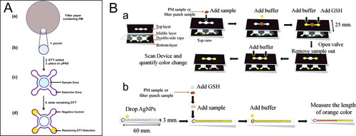 Figure 2. Microfluidic paper-based analytical devices (µPAD) for ambient OP. (A) Steps to perform DTT assay in µPAD. Reprinted with permission from Sameenoi et al. (Citation2013). Copyright (2013) American Chemical Society. (B) Schematic diagram to perform GSH assay in µPAD. (a) A color intensity-based method. (b) A distance-based method. Reproduced from Dungchai et al. (Citation2013) with permission from The Royal Society of Chemistry.
