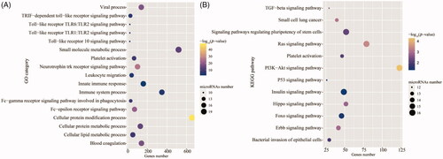 Figure 3. Over-represented Gene Ontology (GO) terms (A) and Kyoto Encyclopedia of Genes and Genomes (KEGG) pathways (B) in the miRNAs that were differentially expressed among all of the pairwise comparisons between the neonatal (day 0) and four postnatal stages.