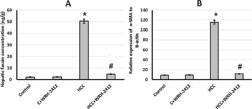 Figure 9. Effect of 5 mg/kg WRH-2412 on vascular invasion markers. (A) Fascin and (B) α-SMA protein levels in the experimental groups. Values are expressed as the mean ± SEM, *p < 0.05 vs. control; #p < 0.05 vs. HCC group; HCC: hepatocellular carcinoma; C: control.