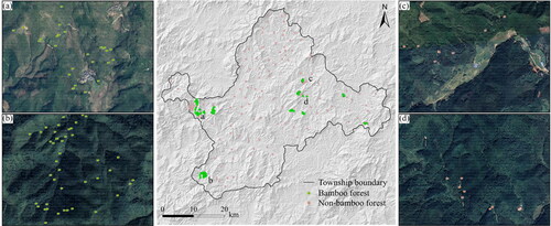 Figure 2. Location of samples used in validation, including bamboo forest and nonbamboo forest. (a, b) bamboo forest sample. (c, d) nonbamboo forest sample. Base maps are Google Earth images.