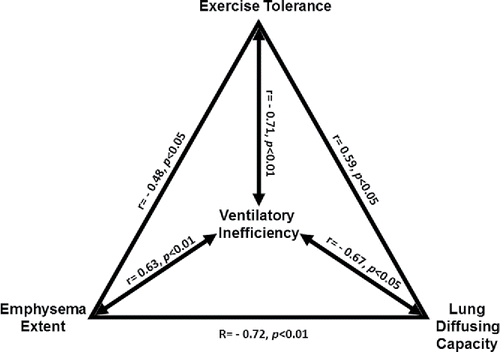 Figure 5. Overview of the significant cross-correlations between ventilatory inefficiency (ventilation (E)/carbon dioxide output (CO2) nadir), exercise capacity (peak O2), emphysema extent by thoracic CT, and lung diffusing capacity for carbon monoxide (DLCO) in patients with mild-to-moderate COPD.