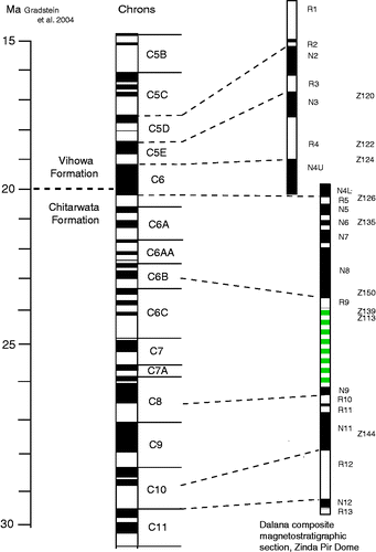 Figure 2 Magnetostratigraphy and timescale for the Zinda Pir Dome, with correlation of key small mammal fossil localities. Magnetozones for the Vihowa and Chitarwata Formations, with fossil localities (Z numbers) are plotted on the right, with correlation to the Geomagnetic Polarity Time Scale on the left. Figure adapted from Flynn et al. Citation2013.
