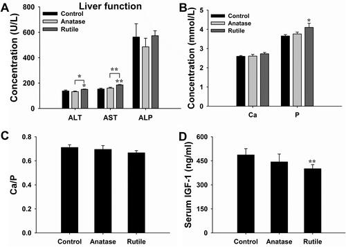 Figure 3 Analysis of serum biochemical indicators. (A) Liver function. (B) Concentration of Ca and P. (C) Ratio of Ca/P in serum. (D) Concentration of IGF-1. *P<0.05, **P<0.01 compared with control.