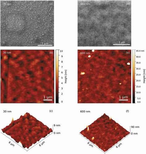 Figure 4. (a) SEM micrograph and (b) and (c) AFM images of the surface of the electrodeposited film with 30 nm thickness. (d) SEM micrograph and (e) and (f) AFM images of the surface of the electrodeposited film with 600 nm thickness