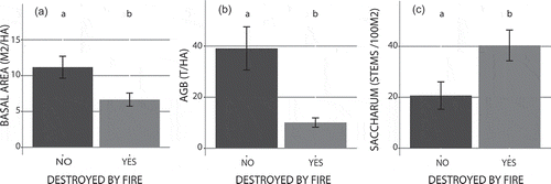 Figure 3. Mean ± SE basal area, aboveground biomass (AGB) and number of alive plus dead Saccharum stems in 2014 in plots that would be destroyed by fires (n = 11) or not (n = 7) before the next census in 2018. Unlike letters indicate significant differences (t-test, p < .05)