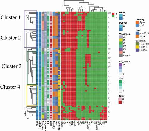 Figure 1. Heatmap of the aggregated virulence gene (VG) profiles for the 84 Escherichia coli ST131 study isolates