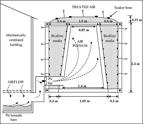 Figure 1. Schematic of the A-frame biofilter at site 2 with a pit fan (cross-sectional view).