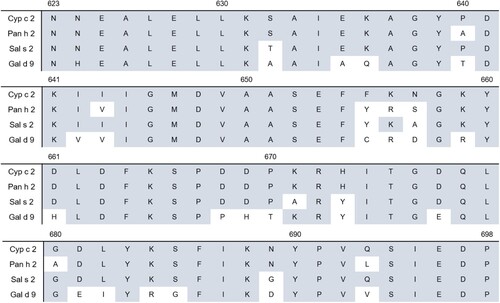 Figure 6. Sequence alignment of the C-terminal part (aa 623–698) of common carp β-enolase (Cyp c 2) with β-enolases of Atlantic salmon (Sal s 2), striped catfish (Pan h 2) and chicken (Gal d 9). Colored boxes indicate aa residues that are identical with Cyp c 2.