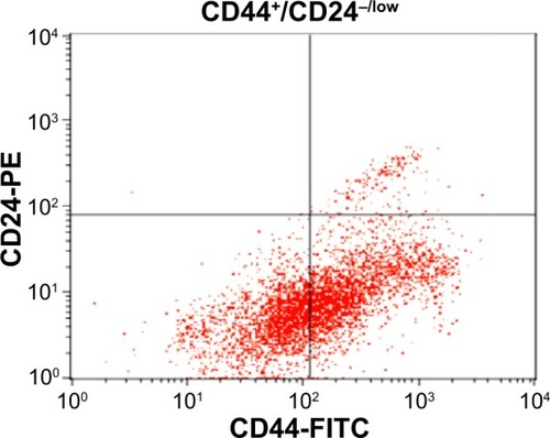 Figure 2 MCF7 cancer stem cells were identified by expression of CD44+ and low expression of CD24−/low in quadrant analysis (CD44+/CD24−/low). Each experiment was performed three times (n=3).