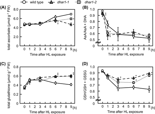 Fig. 3. Levels and redox states of ascorbate and glutathione in dhar1 mutants under HL.
