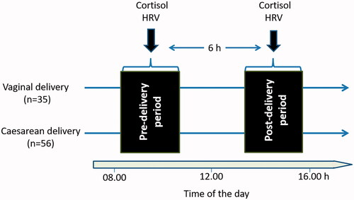Figure 1. Experimental design. Women undergoing vaginal delivery (n = 35) or cesarean delivery (n = 56) accepted to participate to the current study. In the birth clinic, all parturitions took place between 08:30–11:00 h. Women provided saliva samples for cortisol measurement and had a 5-min electrocardiogram recording for HRV (heart rate variability) assessment before and after delivery (6 h after the first sampling).