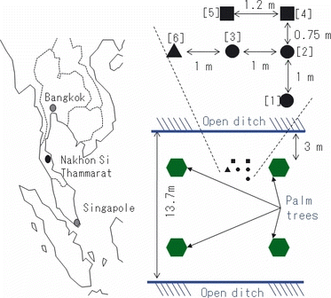 Figure 1 Site description at Nakhon Si Thammarat, Thailand. The three circles (numbers [1], [2] and [3]) denote the data sampling points for the surface O2 influx rates. The O2 concentration profiles were examined at points [4] and [5] (□). The soil temperature profile was monitored at point [6] (□).