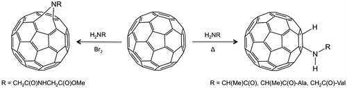 Figure 2. Synthesis of C60-dipeptide conjugates via either nucleophilic addition or a nitrene intermediateCitation21,Citation22.