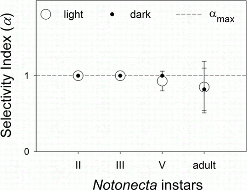 Figure 5  Selectivity index (α) of Notonecta vereertbruggheni on Parabroteas sarsi calculated from mixed prey experiments exposing P. sarsi and newly hatched tadpoles of Pleurodema thaul, in light and dark treatments (mean±1SEM). The dashed line indicates maximum α (α=1). Values close to 1 indicate total preference for P. sarsi.