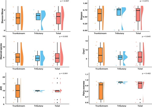 Figure 5. Alpha diversity of macroinvertebrates in the Dayang River Basin based on morphological surveys.