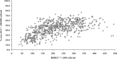 Figure 1. Association between bulk milk somatic cell count and prevalence of cows with somatic cell count (SCC) > 200,000 cells/ml (Barkema, H.W., unpublished data from 300 Dutch dairy farms).