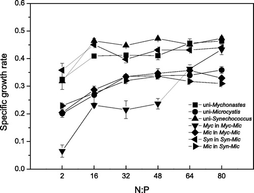 Figure 4. Specific growth rates of phytoplankton with varying N:P ratios. Myc = Mychonastes; Syn = Synechococcus; Mic = Microcystis; Myc (or Mic) in Myc-Mic = Mychonastes (or Microcystis) in the Mychonastes and Microcystis coculture group; and Syn-Mic = Synechococcus (or Microcystis) in the Synechococcus and Microcystis coculture group.