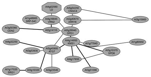 Figure 1 Network model of genes coexpressed with DPD1 elucidated by ATTED-II.Citation10