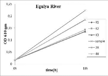 Figure 2. Pseudomonas putida growth inhibition tests for the River Egulya. K1, K2, K3 – triplicate tests for the control; sample – undiluted water; 2× – water diluted twofold; and 4× – water diluted fourfold.