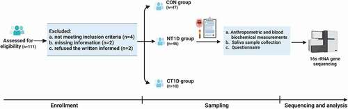 Figure 1. Flow chart illustrating the procedures of the study. Created with Biorender.com.