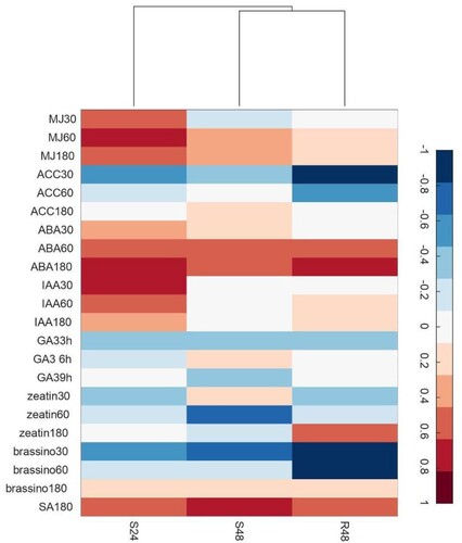 Figure 5 . Clustergram of correlation between gene expression profiles in the Theobroma grandiflorum–Moniliophthora perniciosa interaction and Arabidopsis thaliana under different hormone treatments. Scale bar = indices of hormone action. Color code: red for positive, white for neutral, and blue for negative correlation. MJ = methyl jasmonate (derived from jasmonic acid, JA); ACC = 1-aminocyclopropane-1-carboxylic acid (ethylene); ABA = abscisic acid; IAA = indole-3-acetic acid (auxin); GA3 = gibberellic acid; zeatin (cytokinin); Brassino = brassinosteroids; SA = salicylic acid. Numbers following the hormone abbreviation indicate the time of treatment (30–180 min or 3–9 h). R = resistant, S = susceptible, S24 = 24 HAI, R48 and S48 = 48 HAI.