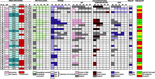 Figure 2. Patient characteristics, and histological and immunohistochemical features of primary and PDX tumors over multiple generations. Green boxes in the last column indicates the 12 SCC PDX models established and further studied.