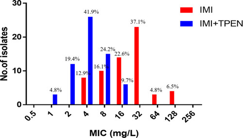 Figure 2 Susceptibility of M. abscessus isolates (n=62) to imipenem with or without TPEN. The data above each bar are the percentage of isolates.