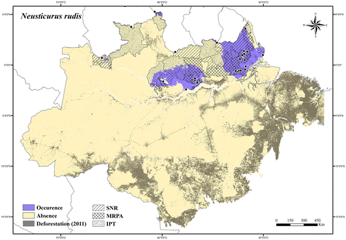 Figure 58. Occurrence area and records of Neusticurus rudis in the Brazilian Amazonia, showing the overlap with protected and deforested areas.