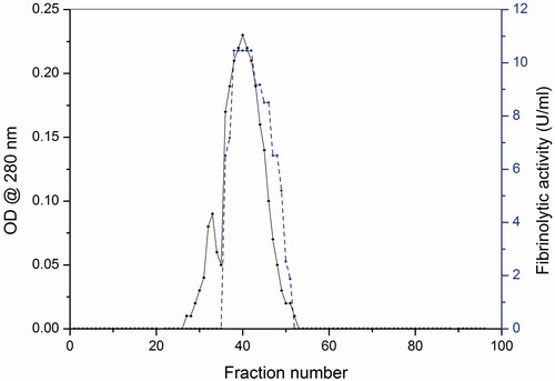 Figure 1. The chromatography and activity profiles of xylarinase separated on Sephacryl S-300.