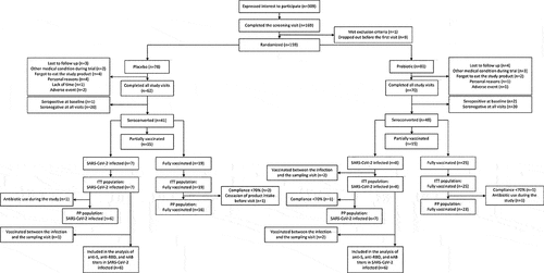 Figure 1. Flowchart showing the number of study participants from the start of the trial to the analyzed populations. ITT=Intention-to-treat, PP=Per-protocol.