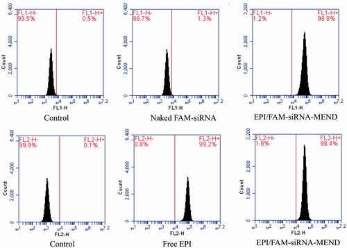 Figure 5. Picture of cellular uptake experiment result.