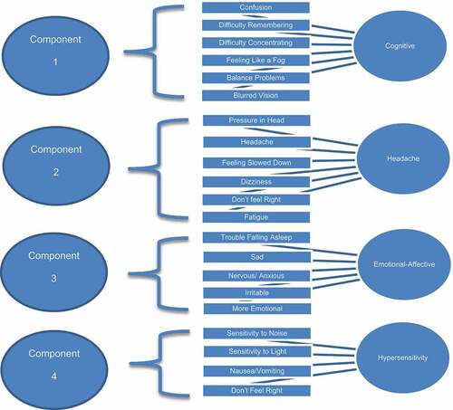 Figure 2. Principal Component Analysis: An illustration of the factor clusters. 4 factor solutions derived from the SCAT3 symptom ratings performed by rugby players who just played a match. Refer to Supplemental Table 2 for detailed factor loadings. Cross-loading symptoms are bolded.