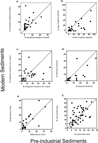 FIGURE 3. The relationship between the percent relative abundances of (a) the Cyclotella stelligera complex (C. stelligera and C. pseudostelligera, (b) small, benthic Fragilaria taxa (F. brevistriata, F. construens, F. construens var. venter, and F. pinnata), (c) Fragilaria virescens var. exigua, (d) Nitzschia fonticola, (e) Brachysira vitrea, and (f) Achnanthes taxa (A. acares, A. altaica, A. carrissima, A. chlidanos, A. conspicua, A. curtissima, A. didyma, A. exigua, A. helvetica, A. impexiformis, A. lacus-vulcani, A. laevissima, A. laterostrata, A. marginulata, A. minutissima, A. pusilla, A. rosenstockii, A. rossii, A. saccula, A. scotica, A. subatomoides, A. suchlandtii, A. thermalis, A. ventralis) found in preindustrial and modern sediments for the 50 study lakes. The majority of lakes lie above the 1:1 line indicating a higher relative abundance of the C. stelligera complex in surface sediments (a). The majority of lakes lie below the 1:1 line indicating a higher relative abundance of small, benthic Fragilaria species in the preindustrial diatom assemblages (b).