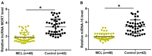 Figure 1 MORT and miRNA-16 were both downregulated in early-stage MCL patients. Expression levels of MORT (A) and miRNA-16 (B) were significantly lower in patients with early-stage MCL than that in healthy controls (*p < 0.05).