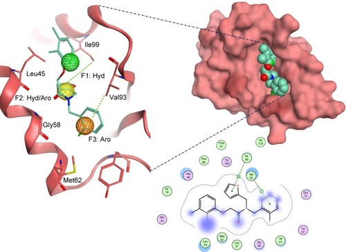 Figure 6 The docked ligand pose of S05 with the p53 binding site of the Mdm2 protein.