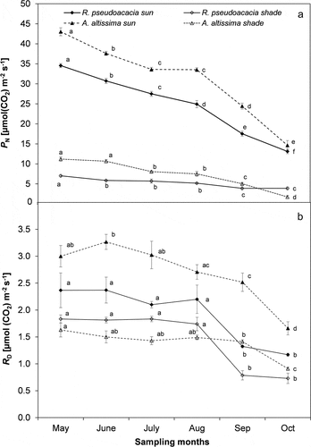 Figure 3. Trend of (a) net photosynthetic rates (PN), (b) leaf dark respiration (RD) during the study period in sun and shade conditions for Ailanthus altissima and Robinia pseudoacacia. Each point is the mean (±S.E.) of 15 leaves in three sampling days per month. Different letters indicates significant differences (ANOVA, p ≤ 0.05) during the study period.