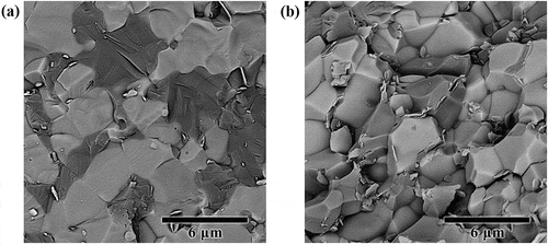 Figure 6. SEM fractographs of (a) ZS and (b) ZSC samples